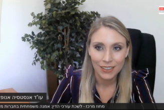 שפט מסחרי דיני תאגידים